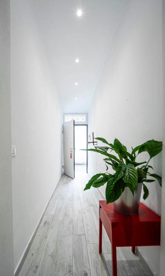 Puccinotti House Daire Floransa Dış mekan fotoğraf